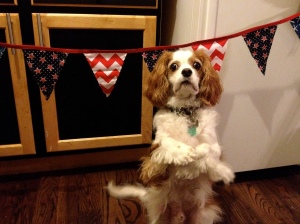 4th of July side of reversible bunting | Janeylulu